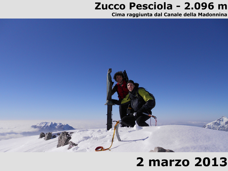 Zucco Pesciola