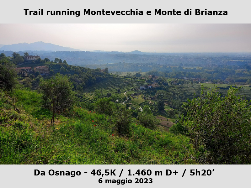 Trail running nel parco di Montevecchia