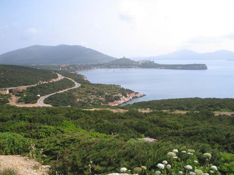 61_capo caccia