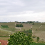 Barbaresco_08-09