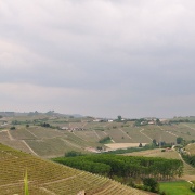 Barbaresco_11-12