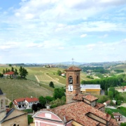 Barolo_05